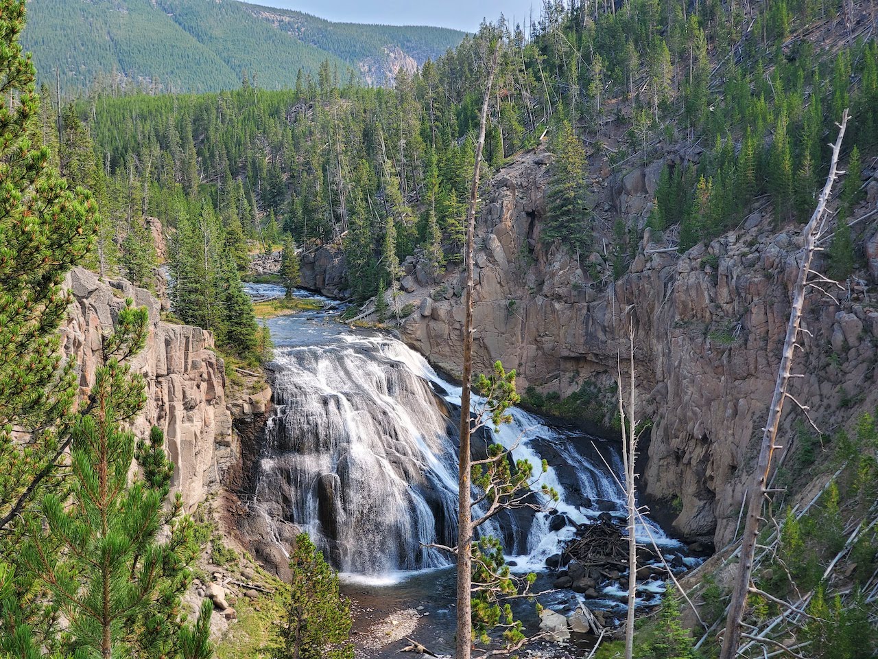 Gibbons Falls